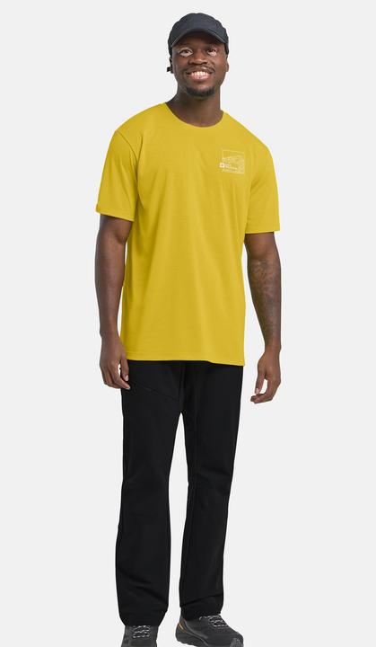 Actual product image Jack Wolfskin Vonnan Graphic T M (L)