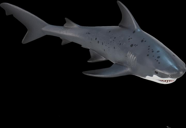 Actual product image Mojo Bull shark