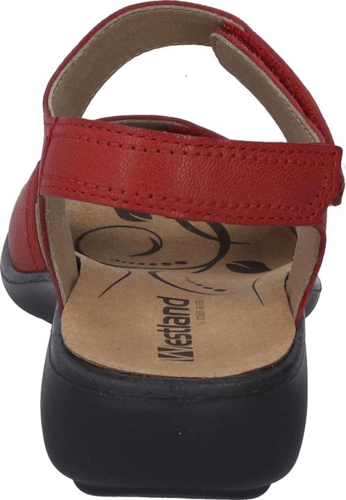 Actual product image Westland 16779-201 (37)