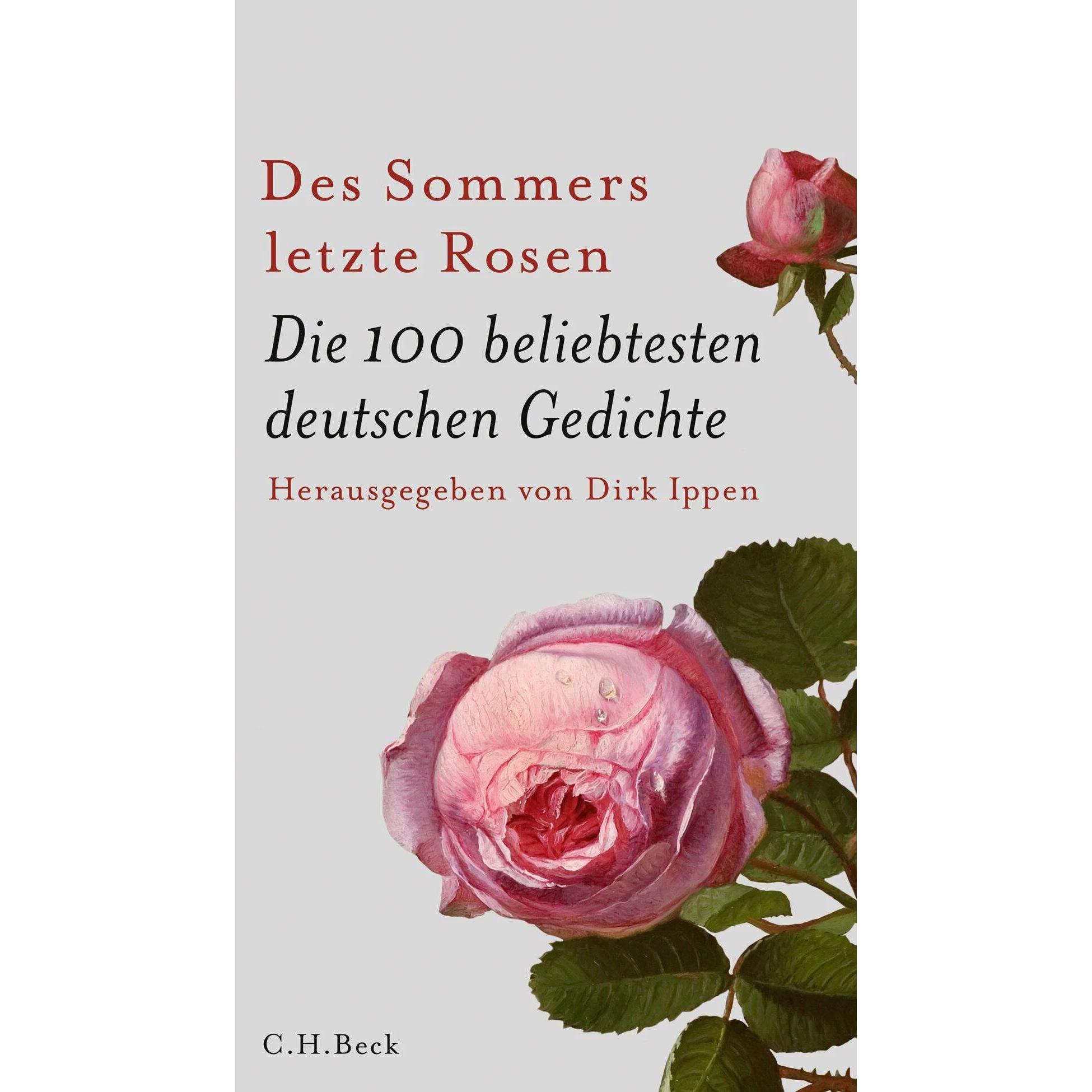 Des Sommers letzte Rosen, Belletristik von Dirk Ippen, Philip Laubach-Kiani