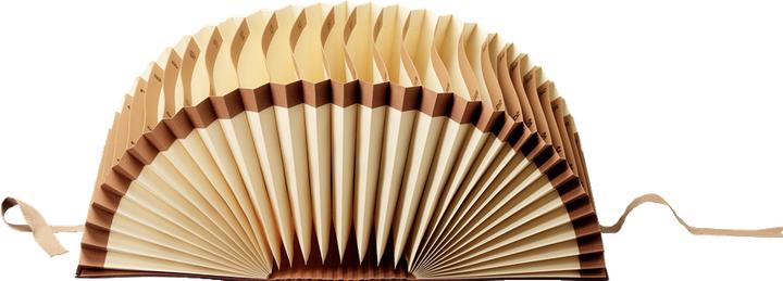 Produktbild Leitz Schriftenordner (A4, 1 x)