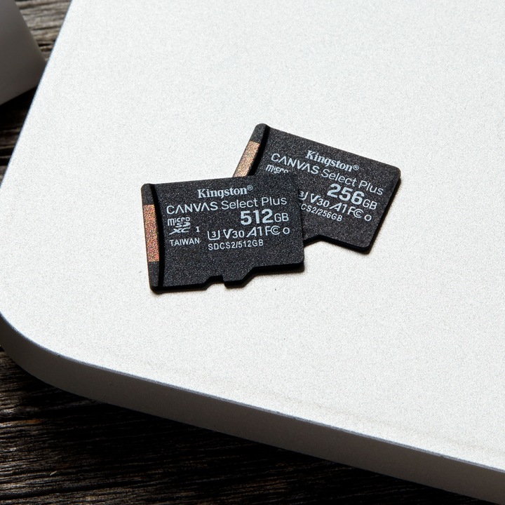 Actual product image Kingston Canvas Select Plus (256 GB, microSDXC, U3, UHS-I)