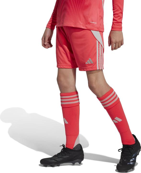Produktbild adidas TIRO24 SHO Y (152)