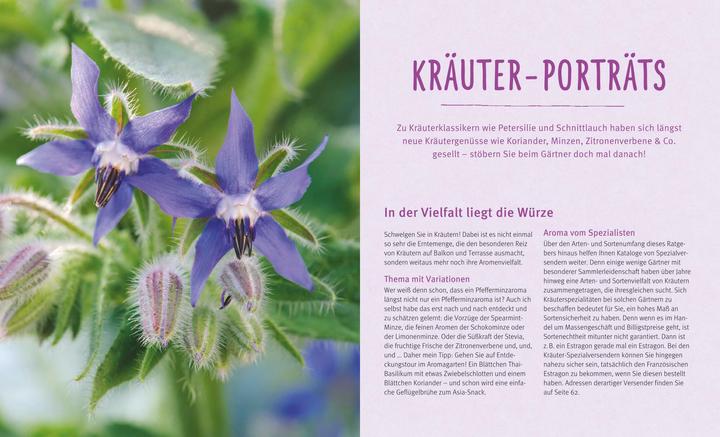 Produktbild Küchenkräuter in Töpfen (Deutsch, Engelbert Kötter, 2014)