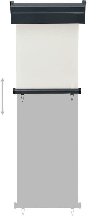 Actual product image VidaXL Side awning (0.60 m)