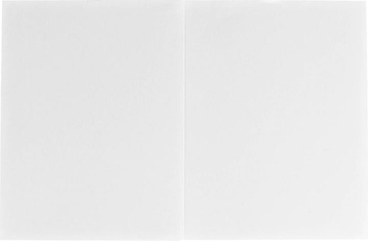 Immagine prodotto Daiber 1x100 Cartelle ritratto Profi-Line 10x15 (10 x 15 cm)