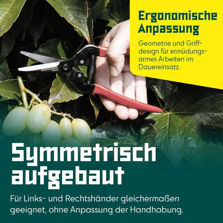 Actual product image Berger Grape shears 200 mm
