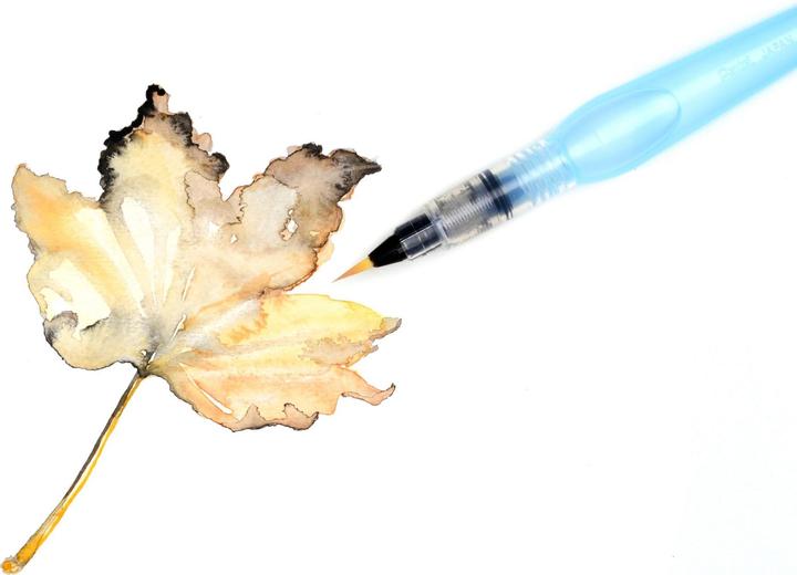 Produktbild Pentel Aquash Brush (14 mm)