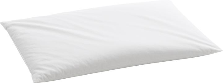 Produktbild Billerbeck Organic Hirsekissen (40 x 60 cm)