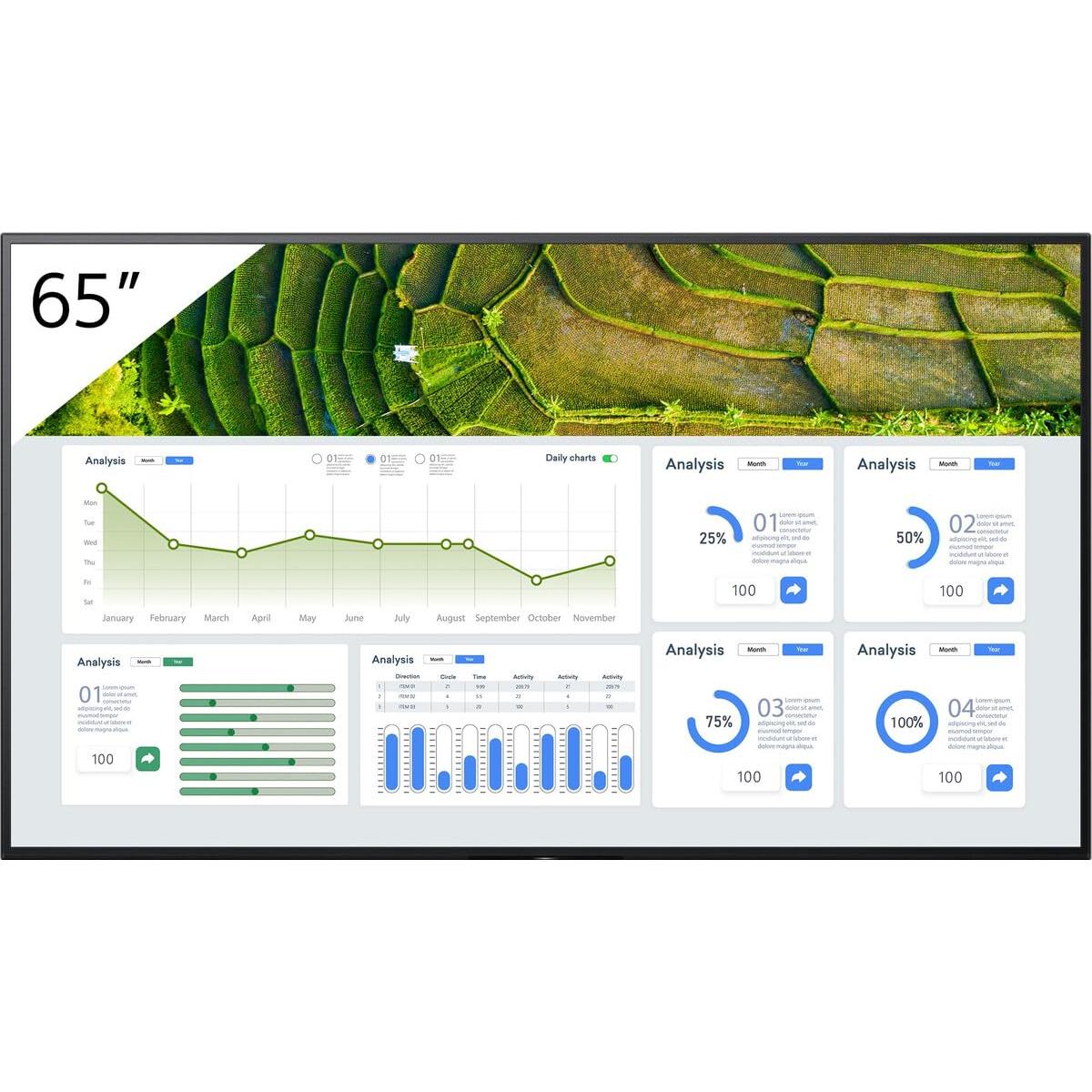 Sony 65" Pro BRAVIA LCD 440nit (3840 x 2160 Pixel, 65"), Digital Signage, Schwarz
