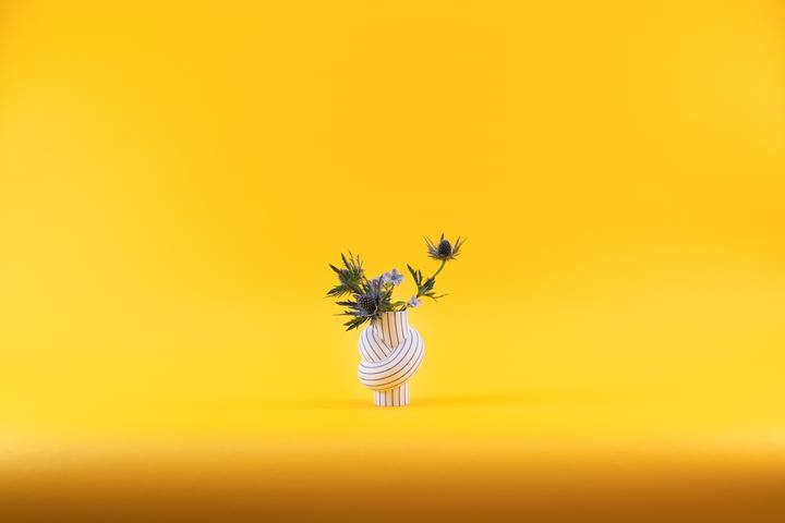 Immagine prodotto Rosenthal Node Stripes - Mirtillo - Vaso 12 cm