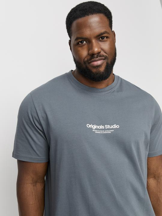 Actual product image Jack & Jones Jorvesterbro Tee Ss Crew Neck Noos Pls (8XL)