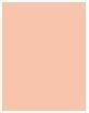Produktbild Shiseido Total Radiance Foundation (Rose 3)