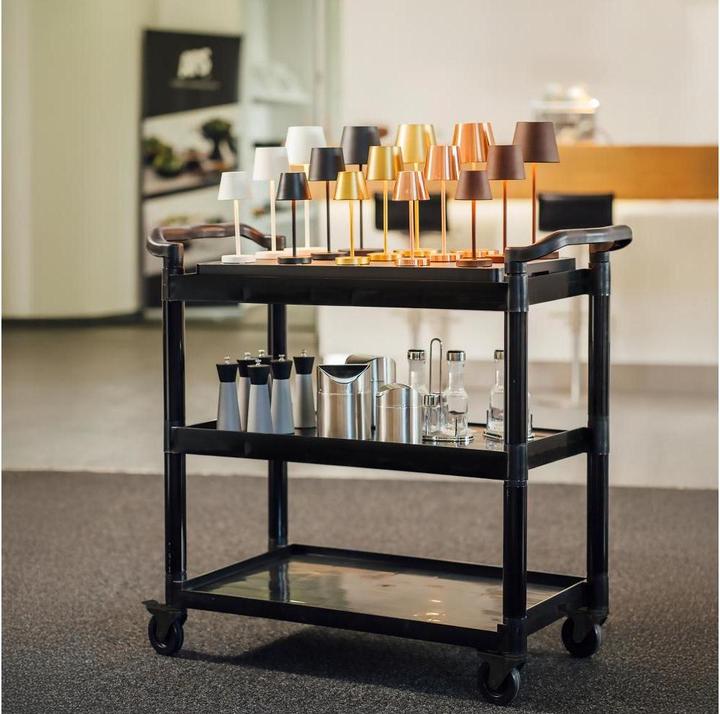 Produktbild APS Servier-/Transportwagen "READY"