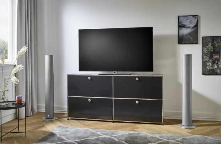 Immagine prodotto Canton CD 290.3 (1 coppia, 90 W)