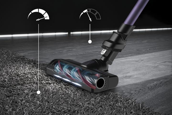 Actual product image Rowenta X-Force Flex 9.60 RH2039