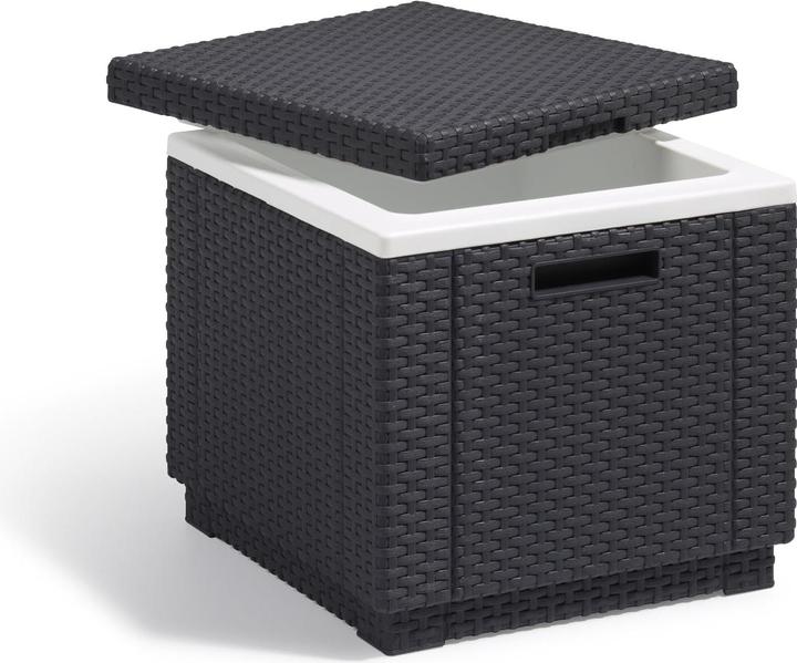 Image du produit Allibert ICE CUBE O/COUSSIN ART. 201309 - ANTHRACITE (40 l)