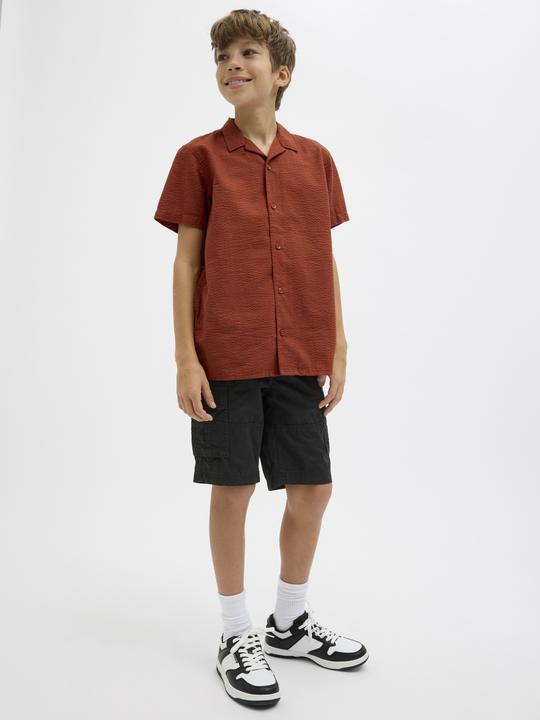 Image du produit Jack & Jones Regular Fit Cargo Shorts Junior Cargo Shorts (158)