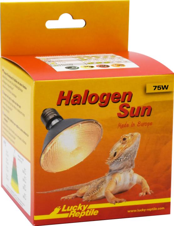 Lucky Reptile Halogen Sun 75W