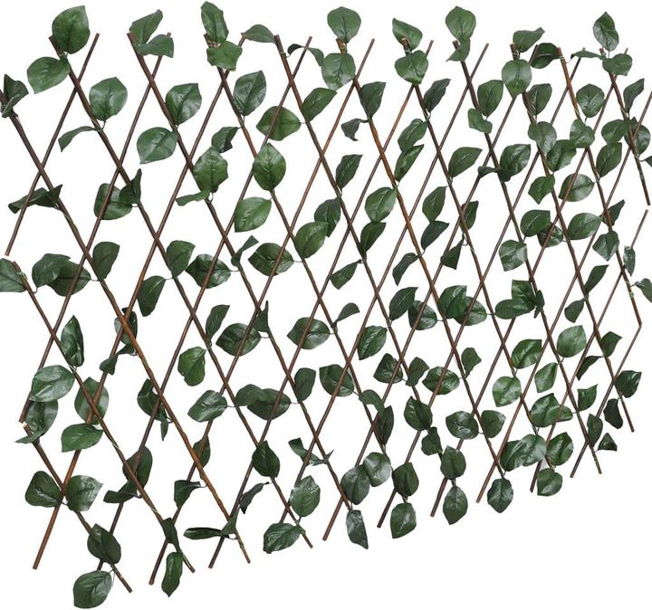 Image du produit vidaXL Zaun