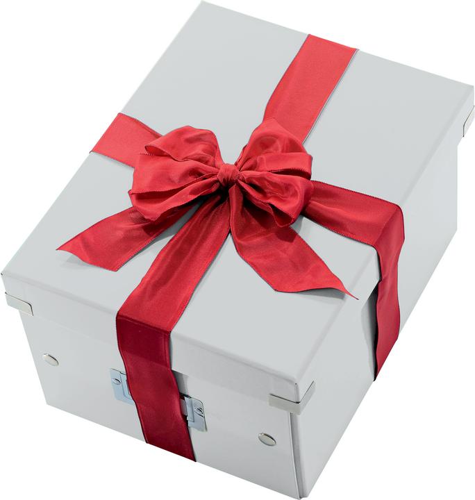 Actual product image Leitz WOW Click & Store storage box (A4)