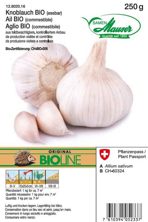 Produktbild Samen Mauser Knoblauch (Gemüsesamen)