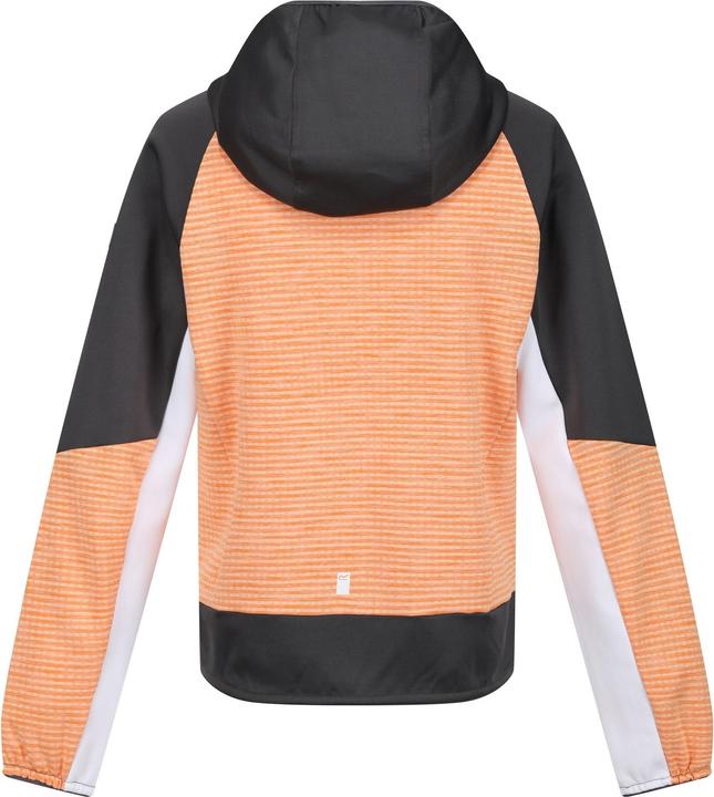 Produktbild Regatta Prenton II Softshelljacke mit Kapuze (170, 176)
