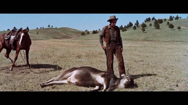 Actual product image Plaion The last hunt (Blu-ray, 1956, German, English)