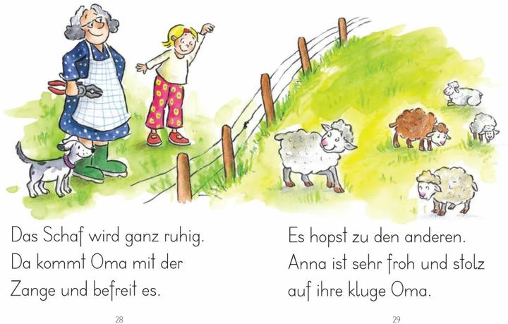 Image du produit LESEZUG/1. Klasse: Anna, Oma und der Bauernhof (Allemand, Birgit Antoni, Marteau Susa Hammerle, 2017)