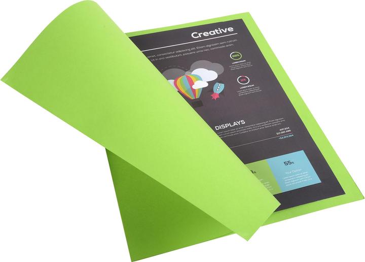 Actual product image Exacompta Collection folders - File covers (A4, 10 x)