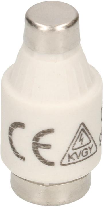 Produktbild Max Hauri Sicherung T DTI (6 A)