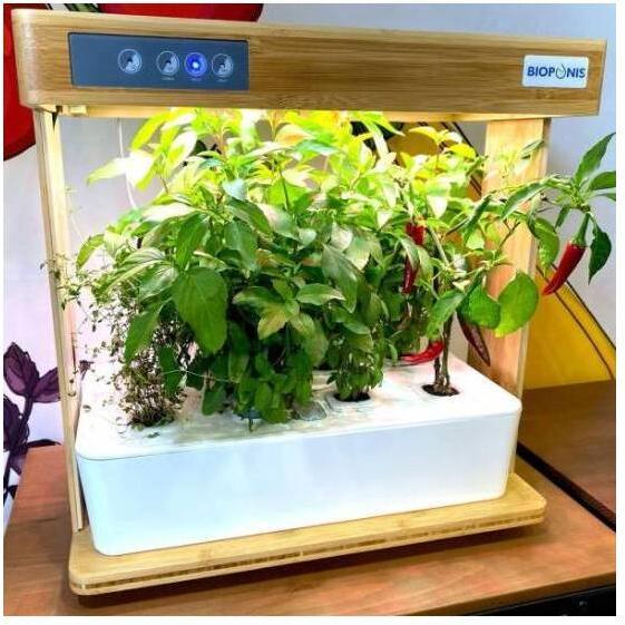 Actual product image Bioponis Vegetable garden
