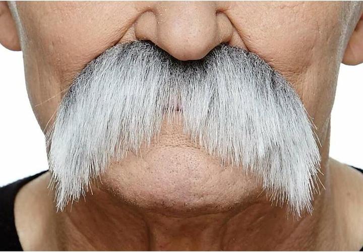 Produktbild My Other Me Schnurrbart Zubehör für Verkleidung