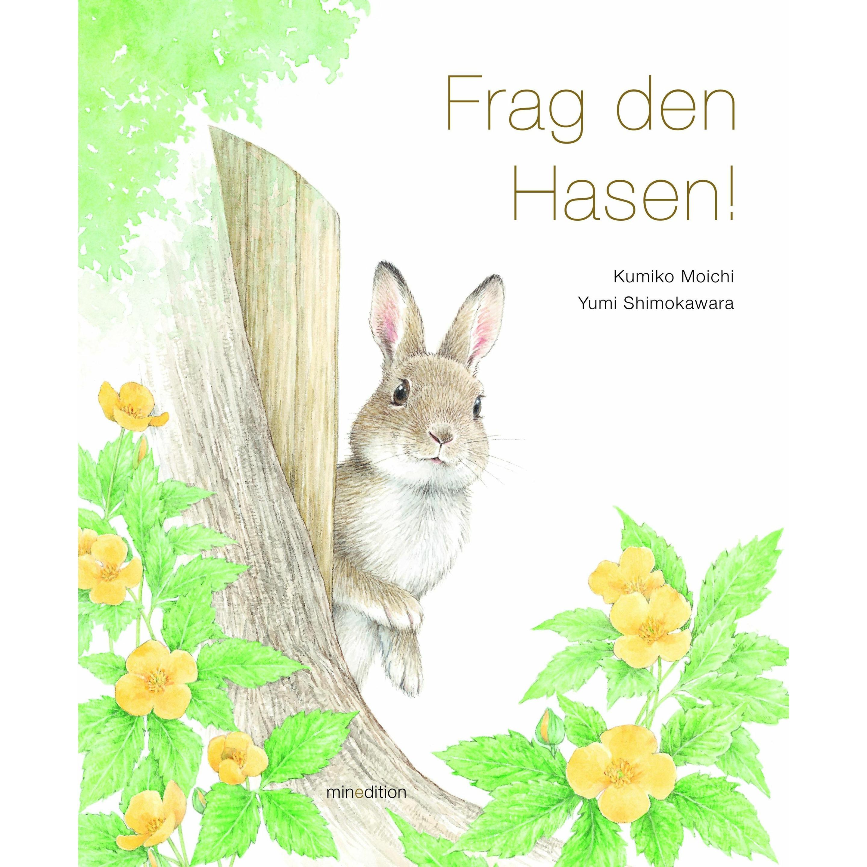 Frag den Hasen!, Kinderbücher von Kumiko Moichi