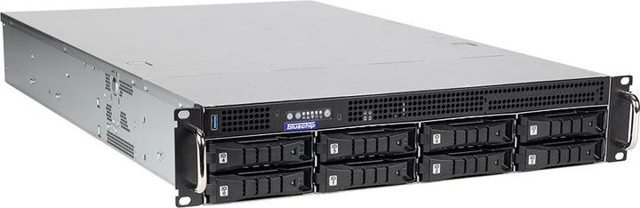 Bluechip SERVERline R32317r (32 GB, Rack Server)