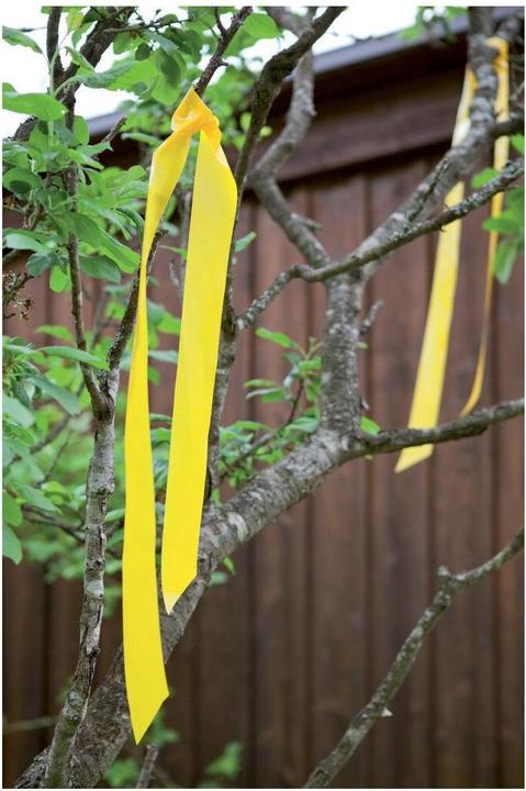 Produktbild Windhager Vogelschreckband