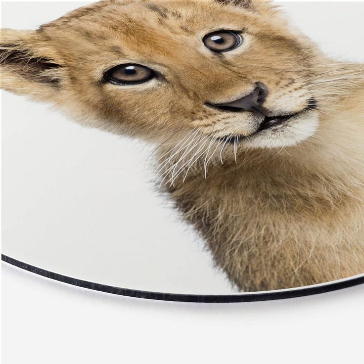 Produktbild Trenddeko Baby Löwe (120 x 120 cm)