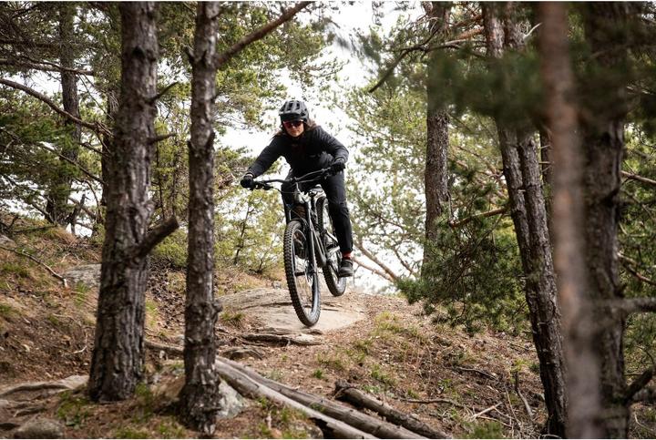 Image du produit ALPINA SPORTS Root Mips (51 - 55 cm)