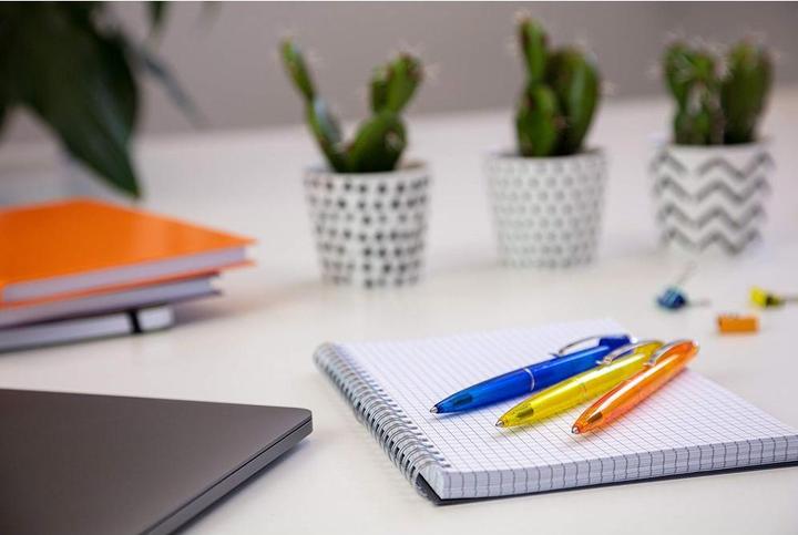 Actual product image Schneider biros (Colored, 20x)