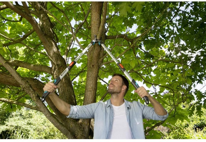 Image du produit Gardena Cisaille à branches longues TeleCut 650-900B