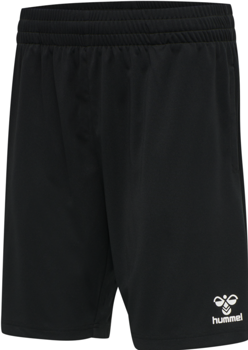 Actual product image hummel Referee Chevron Shorts (XL)