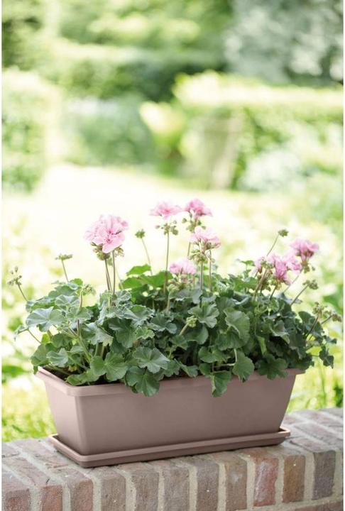 Produktbild Elho Barcelona (20 cm)