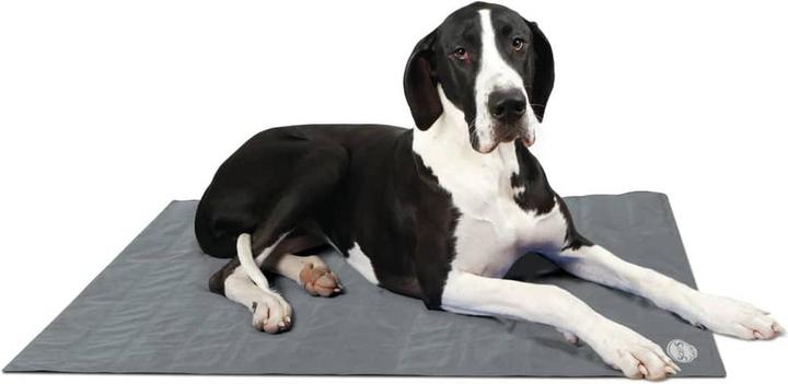 Image du produit Scruffs Tapis pour chiens