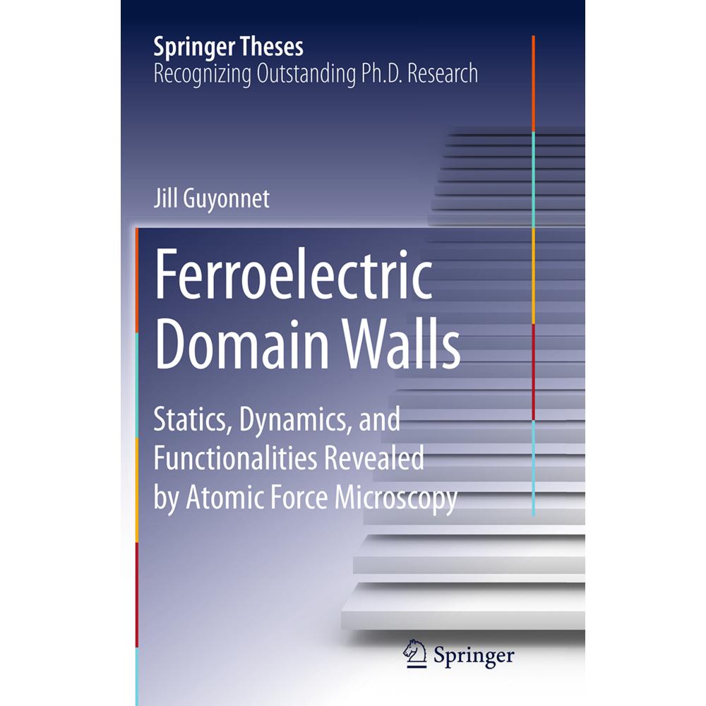 Ferroelectric Domain Walls, Fachbücher von Jill Guyonnet