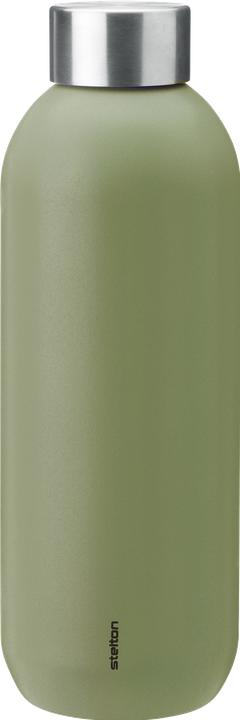 soft fern green