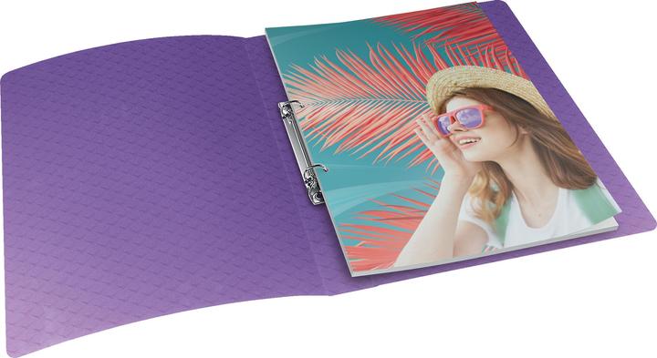 Actual product image Esselte Ring binder (A4, 25 mm, 12 pcs.)