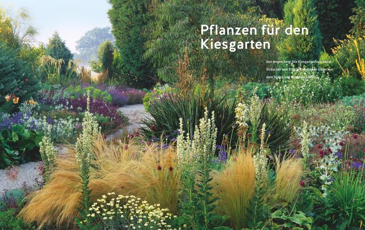 Image du produit Blütenpracht ohne Giessen (Allemand, Bernd Hertle, 2023)
