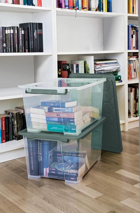 Produktbild Rotho Evo Safe (59 x 39.5 x 28 cm, 44 l)