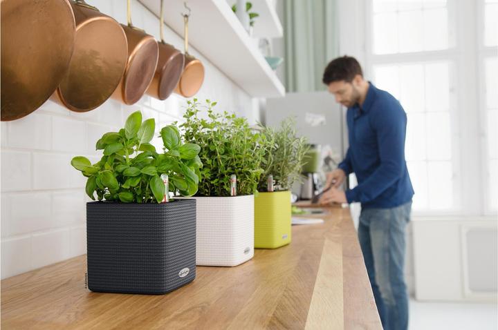 Image du produit Lechuza Couleur du cube (14 x 14 x 13.50 cm)