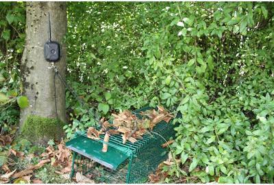 Image du produit Revier Manager LTA LTA Alarme piège